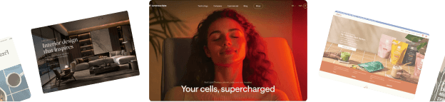 A selection of modern ecommerce themes